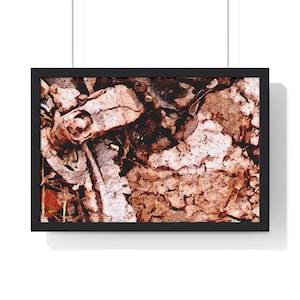 Horizontal Framed Poster