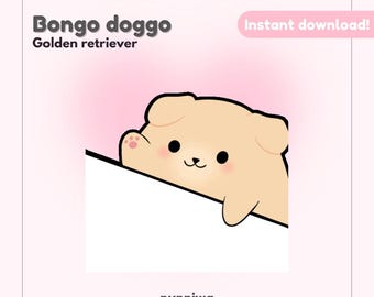 Golden Retriever Bongo Taps Emotes: Twitch, Discord, YouTube, Kick