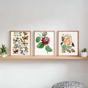 Vintage prints set vintage botanische bloemenprints Digitale downloadbare kunst aan de muur