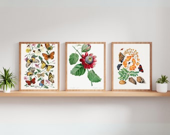 Vintage Botanical Prints Set, Floral Wall Art (Digital Download)
