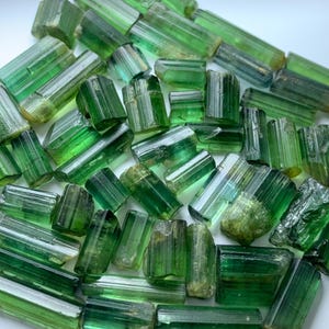Puede incluir: Una colección de cristales de turmalina verde en bruto. Los cristales varían en tamaño y forma, con una apariencia translúcida y vítrea. El color varía de verde claro a oscuro, con algunos cristales mostrando un ligero tono amarillo. Los cristales están dispersos sobre una superficie blanca.