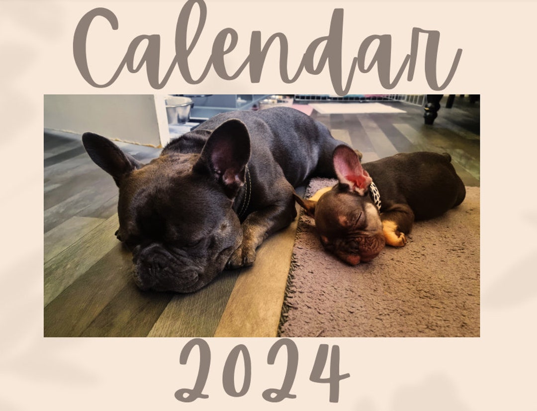 2024 Frenchie Calendar Etsy