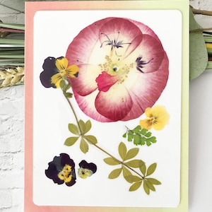 Carte avec de vraies fleurs pressées - assortiment de cartes plié avec de vraies fleurs pressées - carte-cadeau unique pour vos amours - C # 02