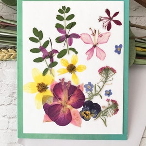 Carte de vraies fleurs pressées - Cartes assorties pliées avec de vraies fleurs pressées - Cadeau de carte unique pour vos amours - C#02