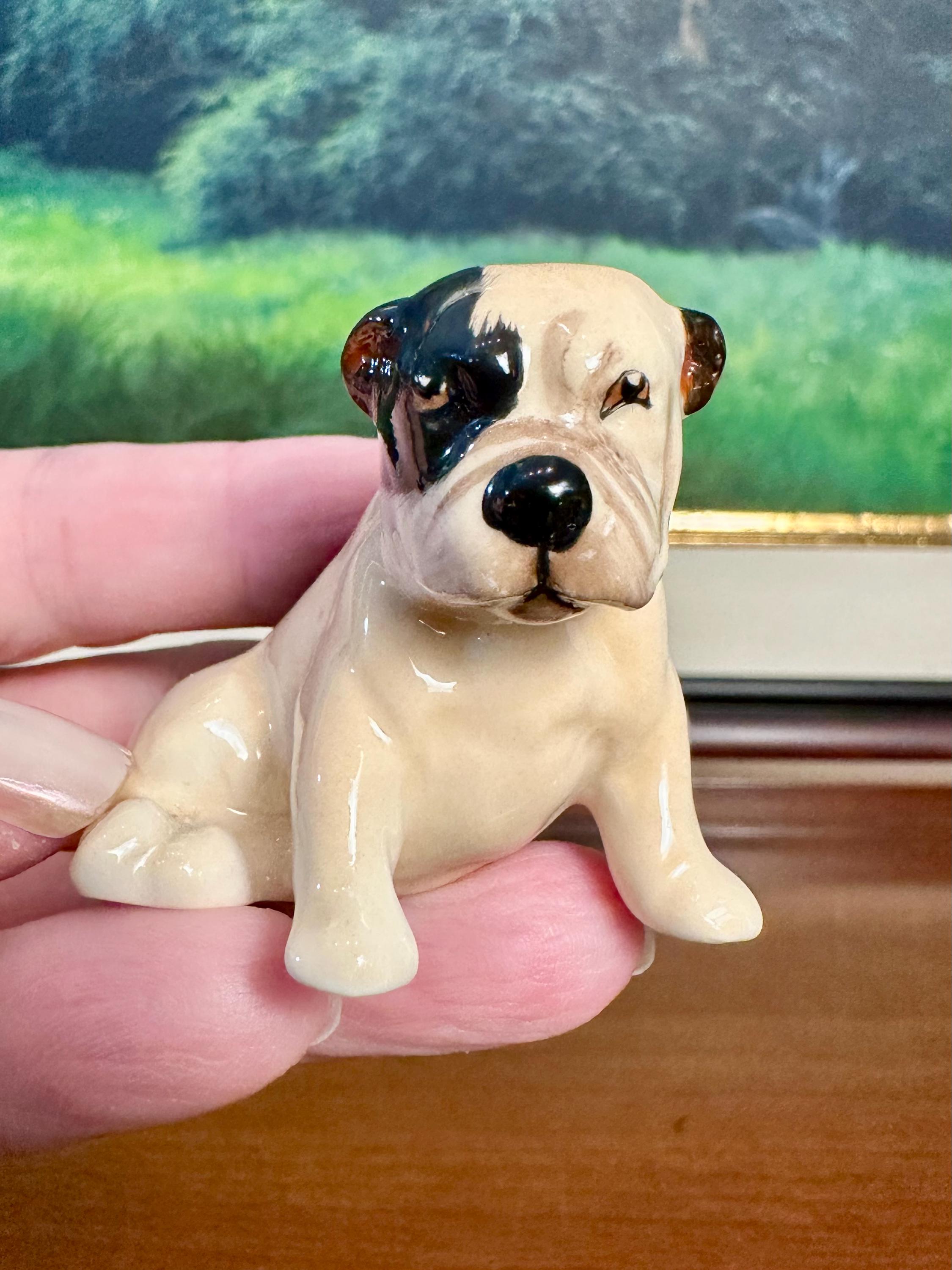 Royal doulton bulldog - Etsy 日本