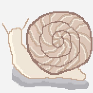 May include: A beige snail with a brown shell with a spiral pattern. The snail is on a gray rock.