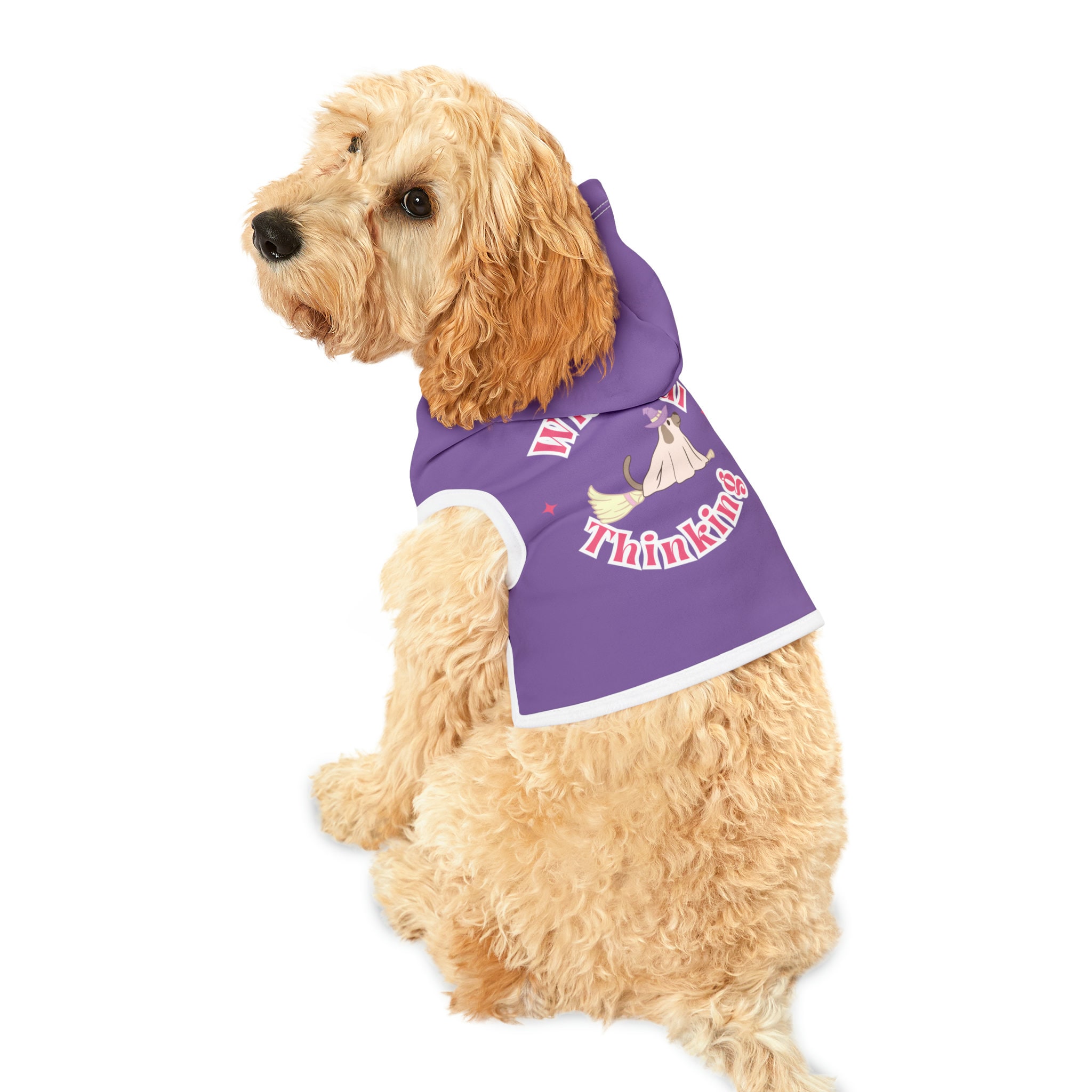 Minnesota vikings best sale dog sweater