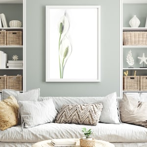 White Calla Lily Print, Scandinavian Print, Affiche Scandinave, White Flowers, Minimalist Prints, Flower Wall Art, Minimal Home Decoration