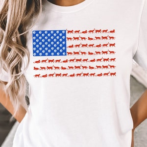 American Flag Cat T-Shirt, Patriotic Shirt, 4th of July Cat Tshirt, USA Tee, Bella Canvas