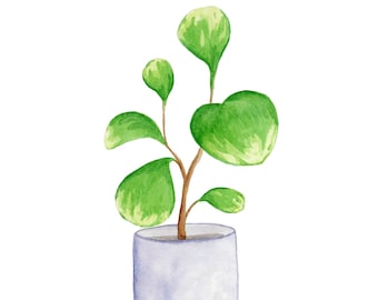 Peperomia Plant Print - Hand Painted Watercolor Digital Art - Home Decor Wall Art