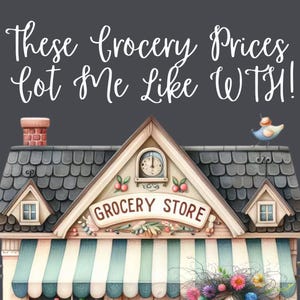 These Grocery Prices Got Me Like WTH  Savings Challenge| Cash Envelopes | Savings Challenge | Mini Savings Challenge