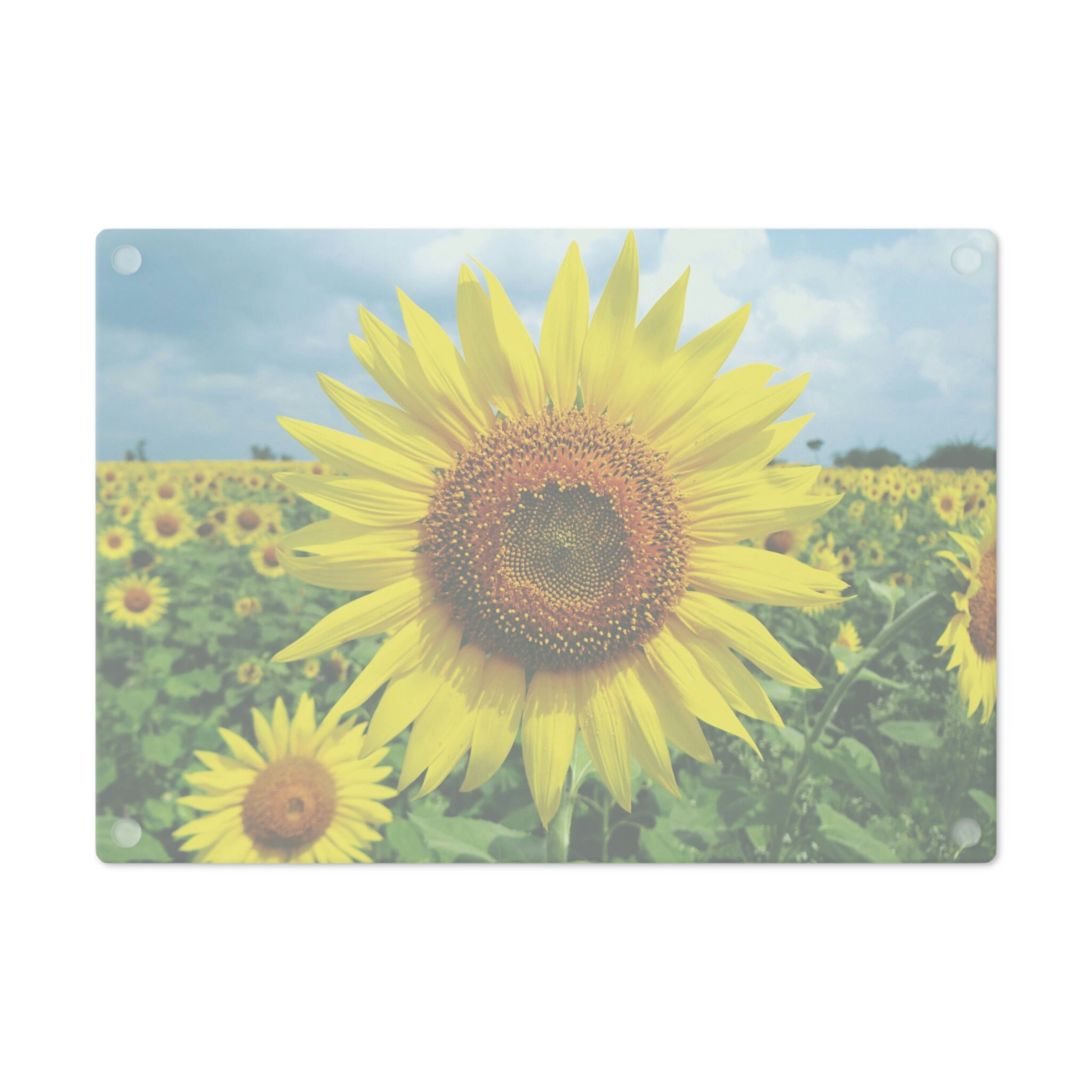 Sunflower Cutting Board, Sunflower Decor, Glass Cutting Board