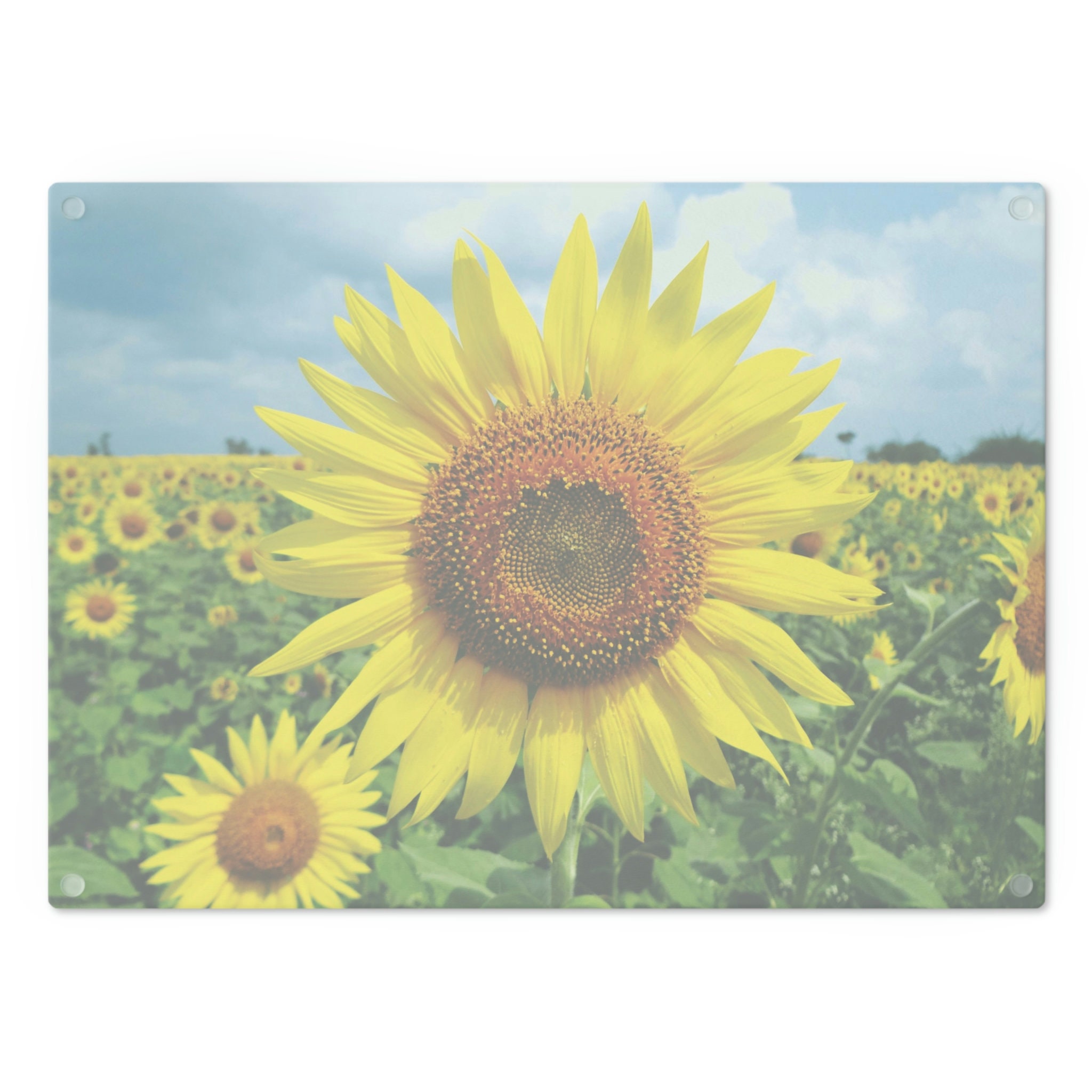 Sunflower Cutting Board, Sunflower Decor, Glass Cutting Board