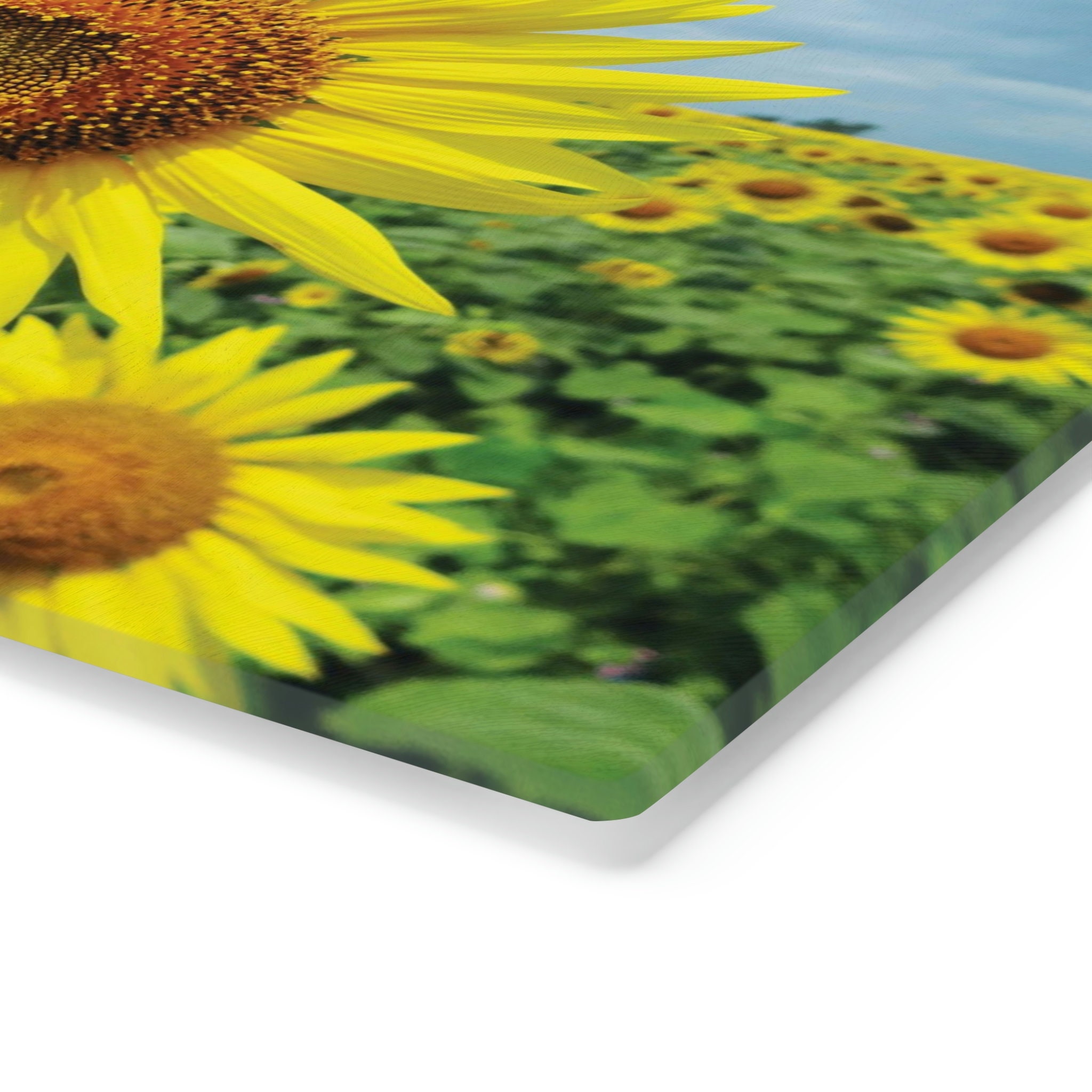 Sunflower Cutting Board, Sunflower Decor, Glass Cutting Board