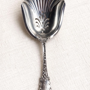 May include: A silver-colored serving spoon with a shell-shaped bowl and a decorative handle. The bowl has a floral design with small holes. The handle is ornate with engraved details. The spoon is likely for serving sugar or other dry ingredients.