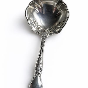 May include: A silver ladle with a scalloped bowl and a long, ornate handle. The handle and bowl are decorated with floral patterns. The ladle is made of a shiny, reflective metal and is set against a white background.
