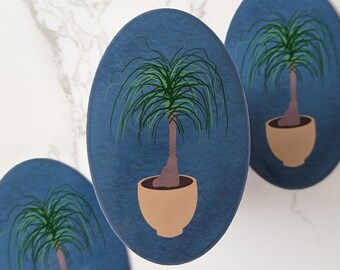 Ponytail Palm Sticker, Cat-Friendly House Plant Sticker, Vinyl Stickers for Water bottles, Vinyl Stickers, Vinyl Stickers for Cars