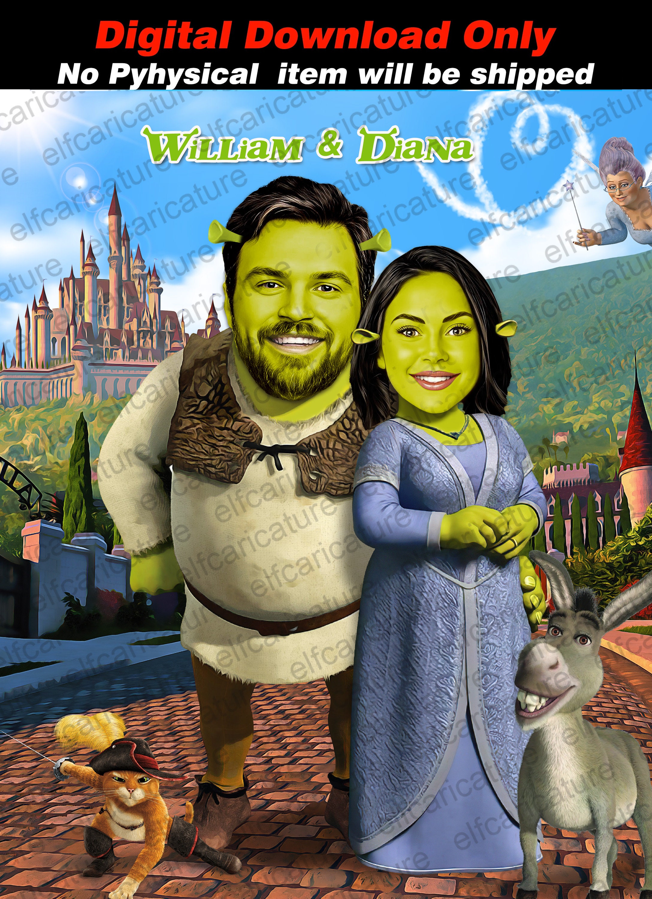 Princess Fiona Watch Shrek Shrek Princess Fiona Doll HTF