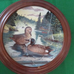May include: A framed ceramic plate with a painting of two blue-winged teal ducks swimming in a lake surrounded by trees. The plate has a brown wooden frame.