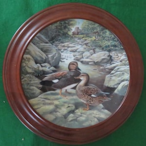 May include: A framed ceramic plate with a painting of two ducks in a stream. The ducks are brown and white with a green background. The plate has a wooden frame.