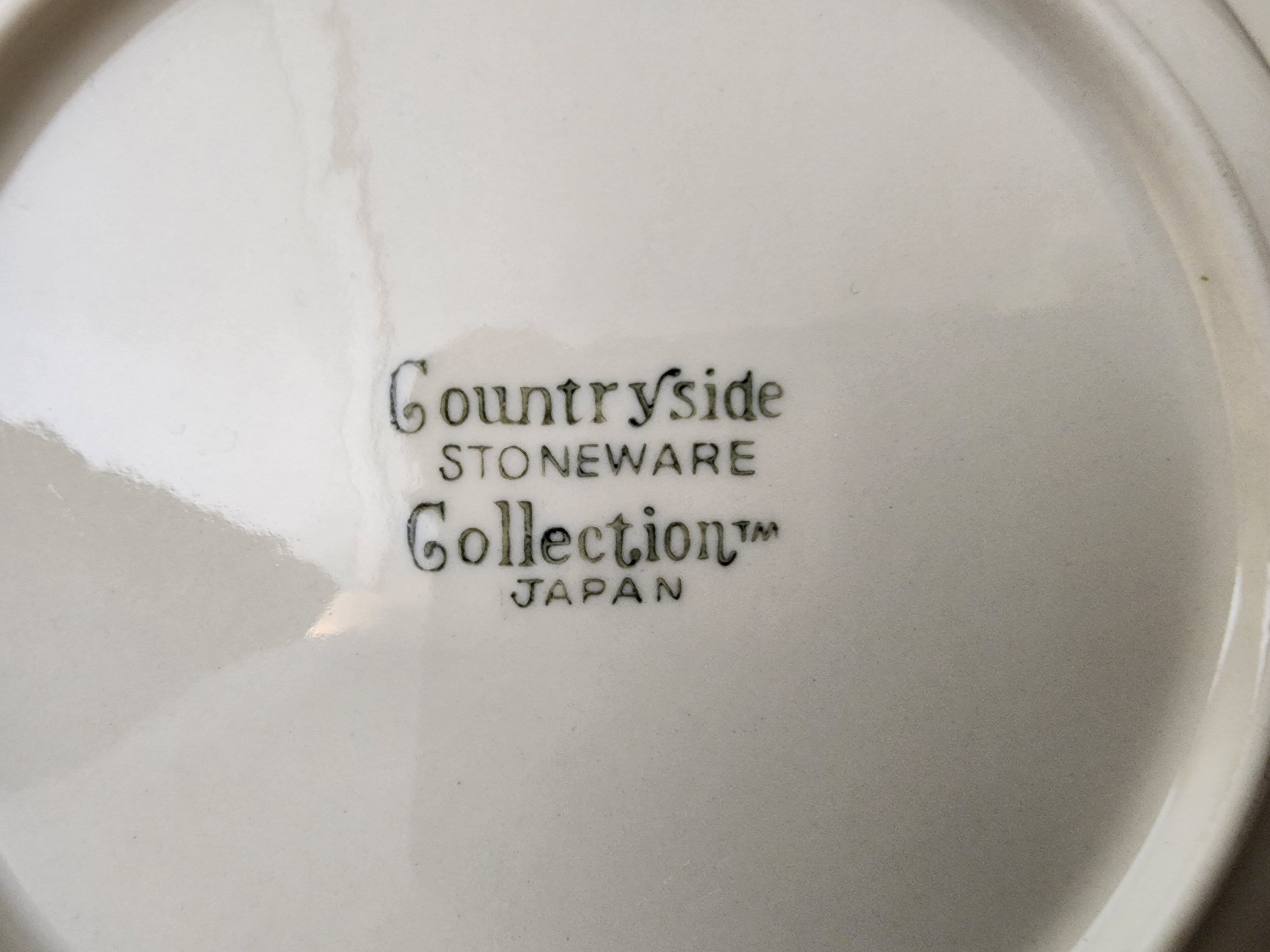 Vintage Countryside Stoneware Collection Made Japan Service Set