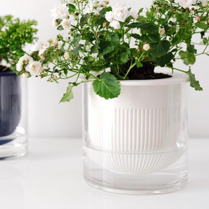 May include: Two clear glass planters with white and blue inner pots. The white planter has a white flowering plant with small white flowers. The blue planter has a green leafy plant.