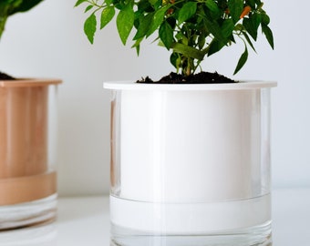 May include: Two potted plants, one with pink flowers and the other with orange peppers, in clear plastic pots with a white and brown water reservoir.