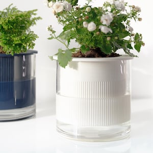 Pode incluir: Dois vasos de vidro transparente com vasos internos brancos e azuis. O vaso branco tem uma planta com flores brancas e folhas verdes. O vaso azul tem uma planta verde com folhas.