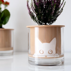 Bella / Maceta moderna de autorriego con temática de gato, tamaño mediano (15 cm), con depósito de agua de vidrio / Un regalo perfecto