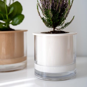 Flute | Medium (6&quot;) Modern Self-Watering Planter Pot with Glass Water Reservoir | A Perfect Gift