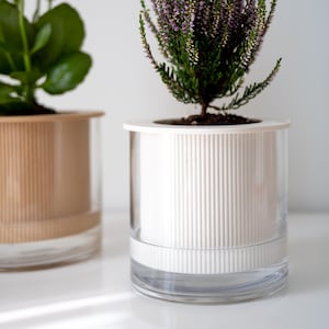 Maceta Flauta / Grande (18 cm) Moderna con Autorriego y Depósito de Agua de Vidrio / Un Regalo Perfecto