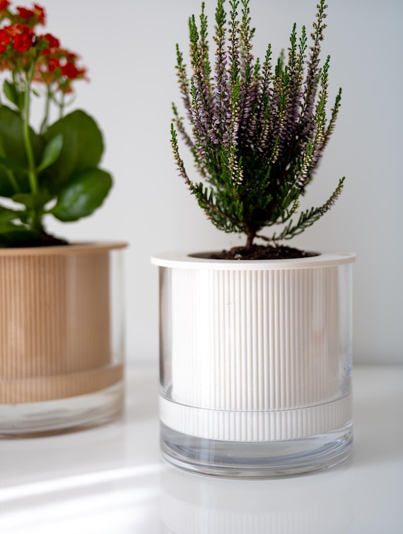 Flute | Large (7") Modern Self-watering Planter Pot With Glass Water  Reservoir | A Perfect Gift - Etsy