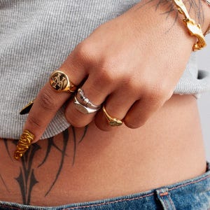 May include: A hand adorned with various gold and silver rings, including a signet ring with a black background and a gold emblem. A gold bracelet and a chain bracelet are also visible. The person is wearing a gray top and blue jeans.