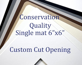6x6 Conservation photo mat custom cut picture frame mat board