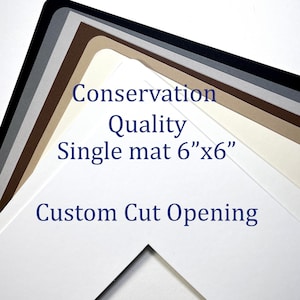 6x6 Conservation photo mat custom cut picture frame mat board
