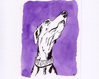 Greyhound original line and wash watercolor illustration ink sketch mini art