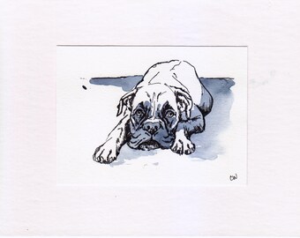 Boxer pup dog original line and wash watercolor illustration ink sketch mini art