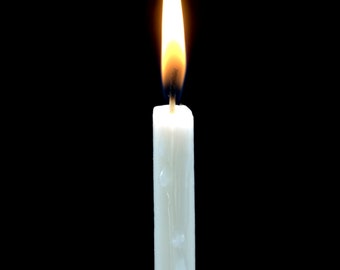 Vela