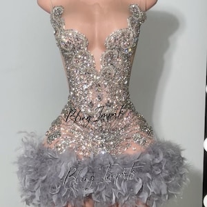 Silver Bling Rhinestone Party Dress with Feathers
