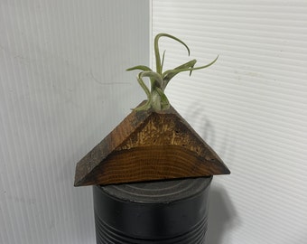 AP3-Air Plant Holder Refrigerator Magnet