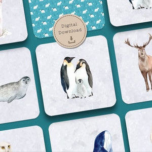 Montessori Antarktis Tiere Memo-Spiel. 24 Memorie Karten für Kinder ab 2 Jahren. Gedächtnisspiel. Lernspiel Kinder