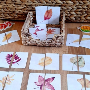 12 folhas de ervas combinando atividades quebra-cabeça jogo montessori jogos educativos para crianças em idade pré-escolar atividades para bebês