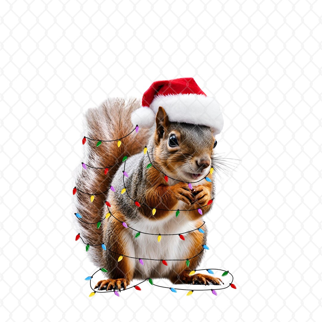 Christmas Squirrel Lights Png, Cute Christmas Shirt Png, Funny