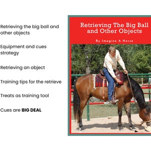 Retrieving objects