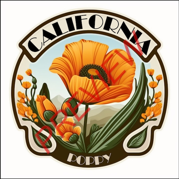 California Poppy