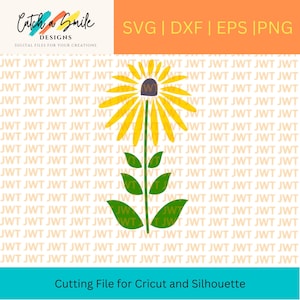 Black Eyed Susan SVG Cut File - Digital Download - For Cricut and Silhouette - Black Eyed Susan SVG Cut File - Maryland State Flower