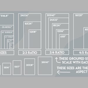 May include: A gray informational chart displaying various print aspect ratios and dimensions in inches. It includes A sizes, 2:3, 3:4, and 4:5 ratios, along with other sizes like 5x7, 11x14, 11x17, 20x28, and 28x40 inches, with explanatory text.