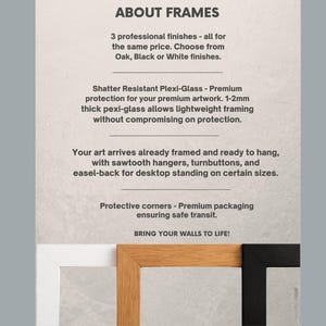The image is a poster with information about frames, including details about the frames' finishes and their features.
