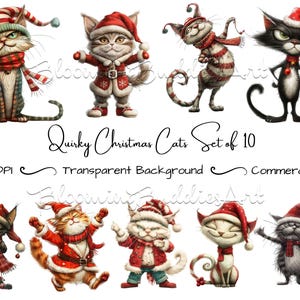 10 schrulliges Weihnachtskatzen Clipart Paket, Dumme Katze PNG, Urlaub Illustration, Weihnachten Clip Art, Schwarze Katze PNG, Weihnachtskätzchen, Fantasy Grafik
