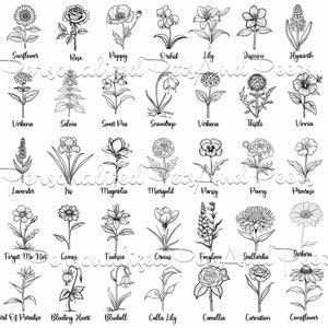 Enkele bloemen met namen clipartset van 45, bloemenschets, bloemen PNG-graphics, commercieel gebruik, Instant Download, PNG Wildflower-bundel
